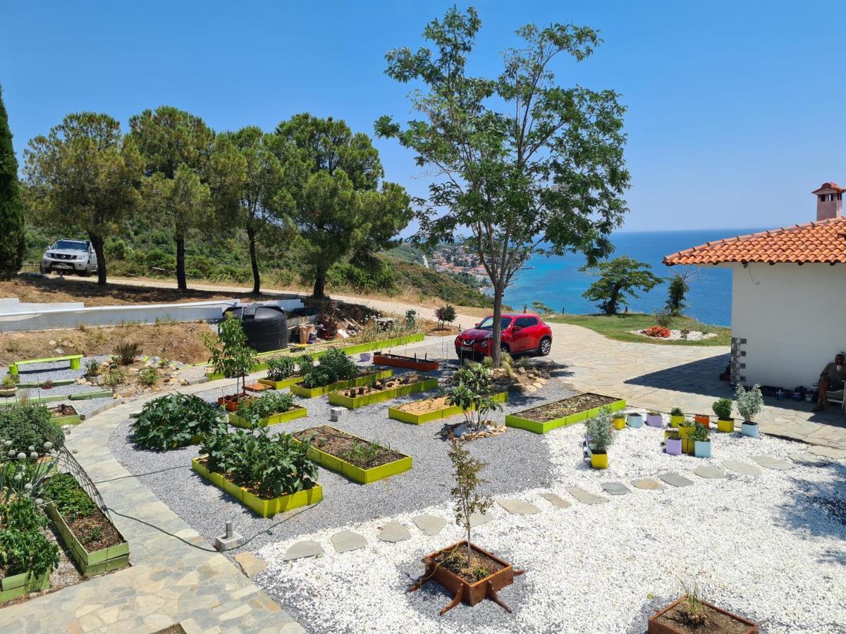 Greco Paradise Suites - Adult Only Nea Skioni Exterior photo